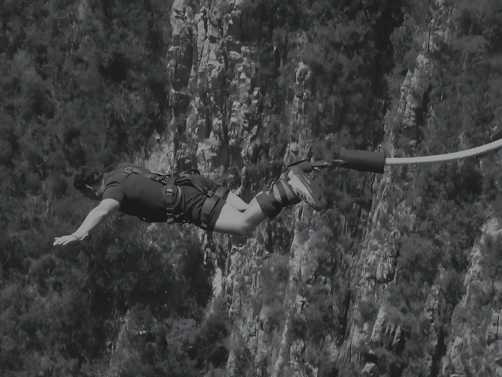 Charlie bungee jumping